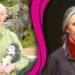 Jane Goodall Todesursache